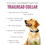 Trailhead Padded Dog Collar