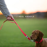 Trailhead Padded Dog Leash with Heel Handle