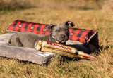 Hornady Buffalo Plaid Dog Blanket