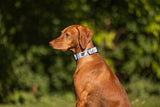 Cascade Dog Collar - Daisy Chain
