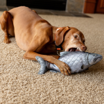 ROCT Salmon dog toy