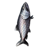 ROCT Salmon dog toy