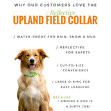 Upland Field Dog Collar Reflective – Pink